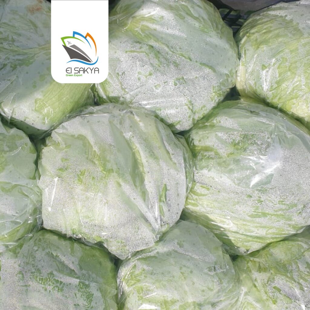 WhatsApp Image 2025-11-26 at 4.36.50 PM