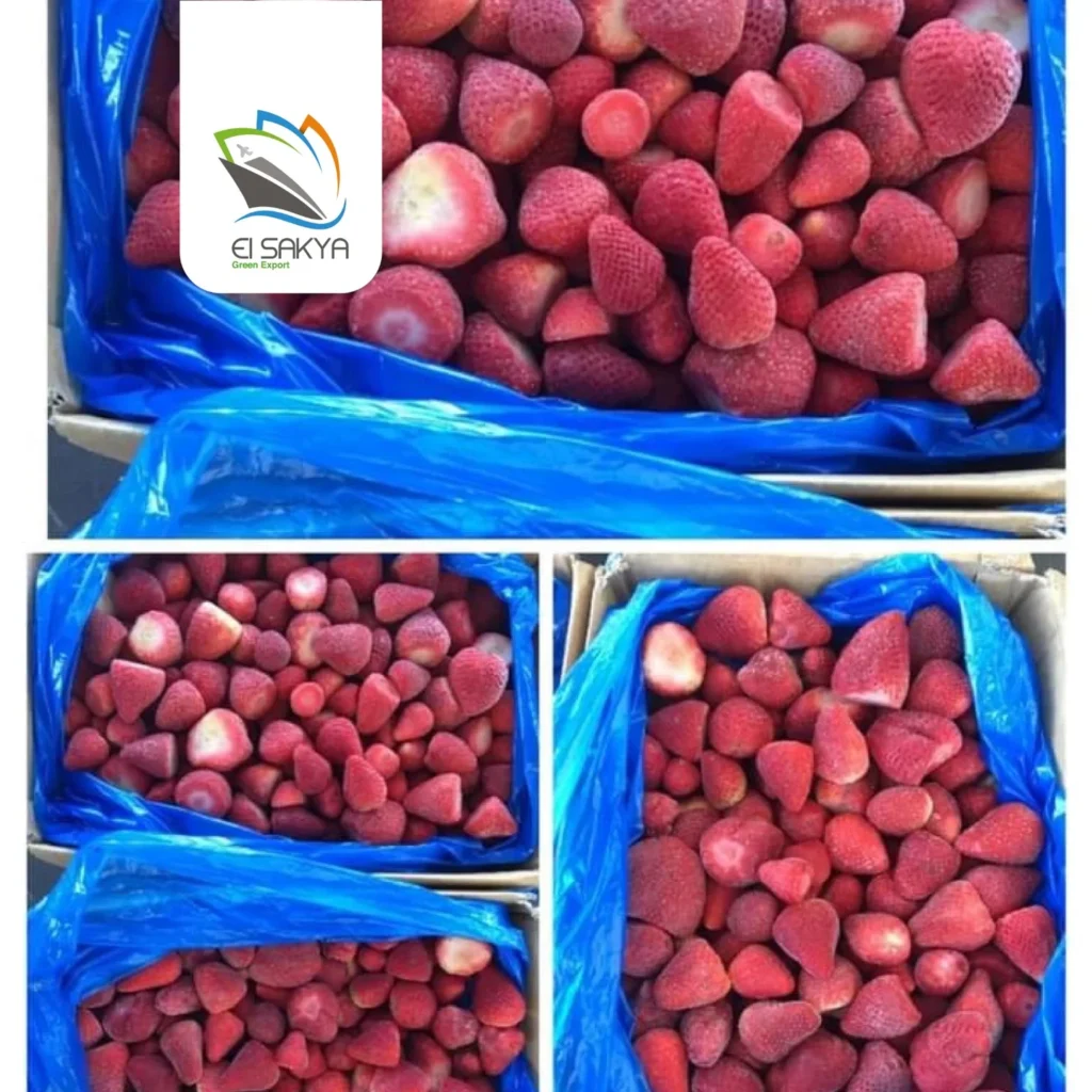 WhatsApp Image 2025-11-26 at 4.36.51 PM