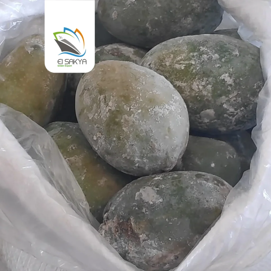 WhatsApp Image 2025-11-26 at 4.36.51 PM (2)