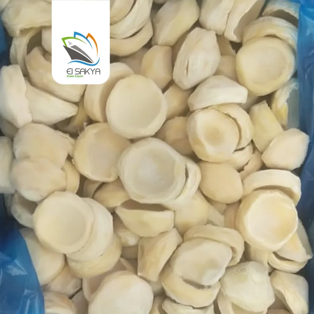 WhatsApp Image 2025-11-26 at 4.36.52 PM (1)