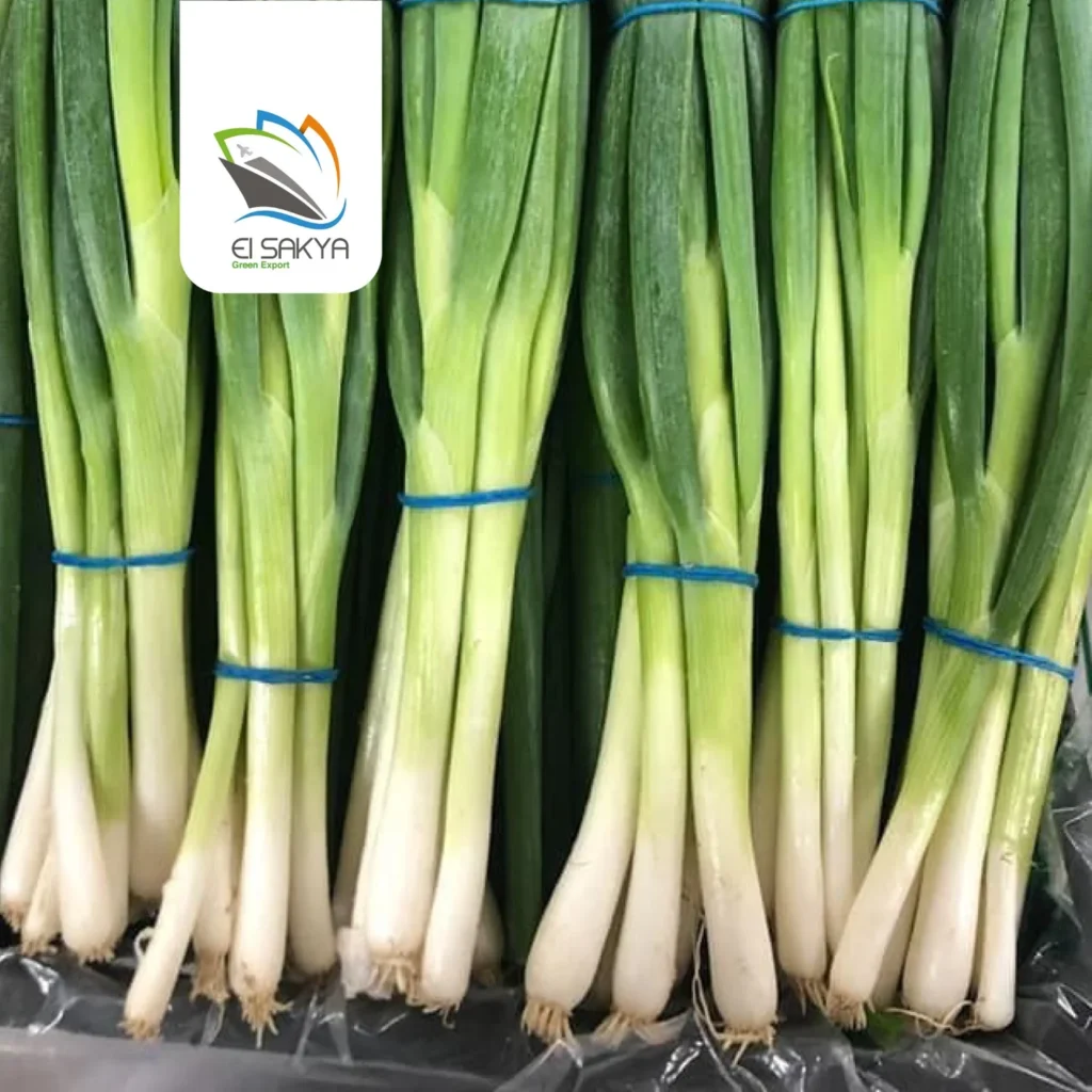 WhatsApp Image 2025-11-26 at 4.36.55 PM (1)